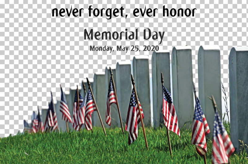 Memorial Day PNG, Clipart, Cemetery, Flag Of The United States, History, Holiday, Honour Free PNG Download