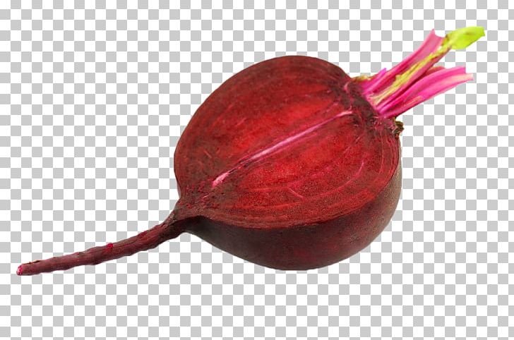 Beetroot Chard Sugar Beet Vegetable PNG, Clipart, Beet, Beet Head, Beetroot, Chard, Common Beet Free PNG Download