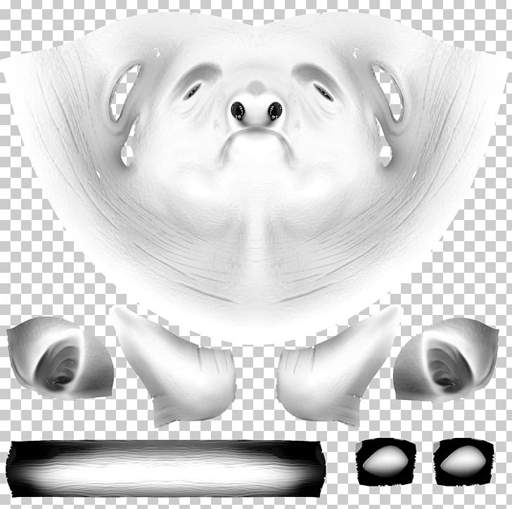 Dog Tooth Snout Drawing Jaw PNG, Clipart, Angle, Animals, Bear, Black And White, Canidae Free PNG Download