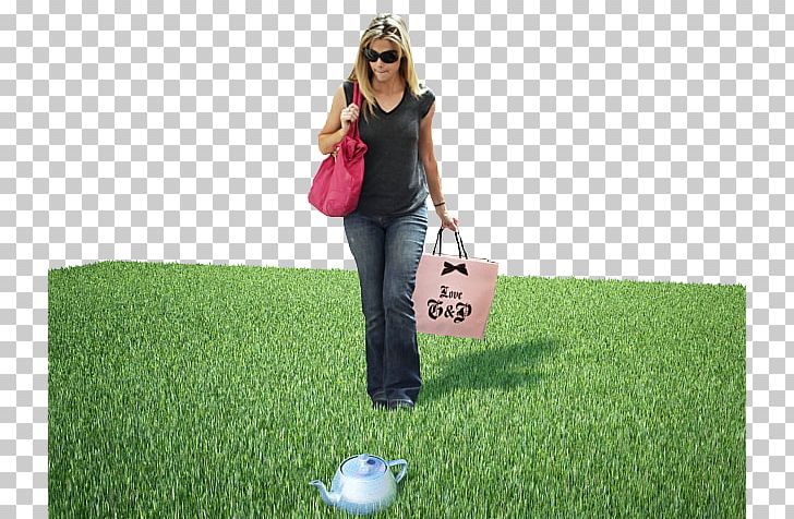 Lawn Grassland Leisure Grasses Adobe Photoshop PNG, Clipart, Family, Golf Ball, Google Play, Grass, Grasses Free PNG Download