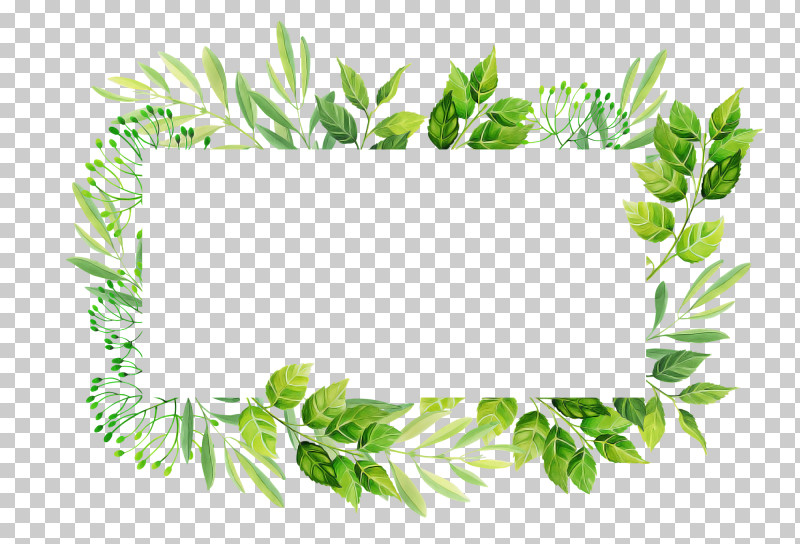 Plant Leaf Grass Flower PNG, Clipart, Flower, Grass, Leaf, Plant Free PNG Download