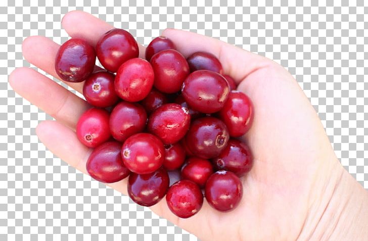 Cranberry Portable Network Graphics Fruit Cherry PNG, Clipart, Berry, Cherry, Cranberry, Drink, Easily Free PNG Download