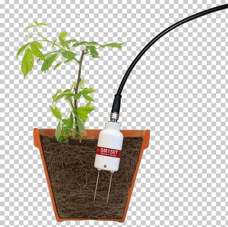 Soil Moisture Sensor Agriculture Water Content PNG, Clipart, Agriculture, Crop, Eagriculture, Flowerpot, Herb Free PNG Download