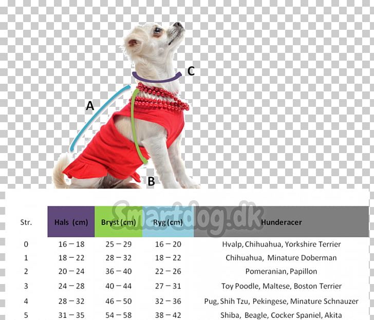 Calendar Leash Brand Font PNG, Clipart, Brand, Calendar, Joint, Leash, Others Free PNG Download