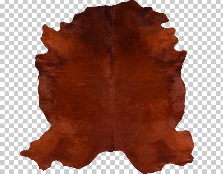 /m/083vt Kyle Bunting Stock Wood Mirror PNG, Clipart, Bunting Material, Diameter, Kyle Bunting, Learning, M083vt Free PNG Download