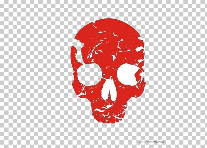 Skull Human Skeleton Bone PNG, Clipart, Anatomy, Bone, Brand, Circle, Euclidean Vector Free PNG Download