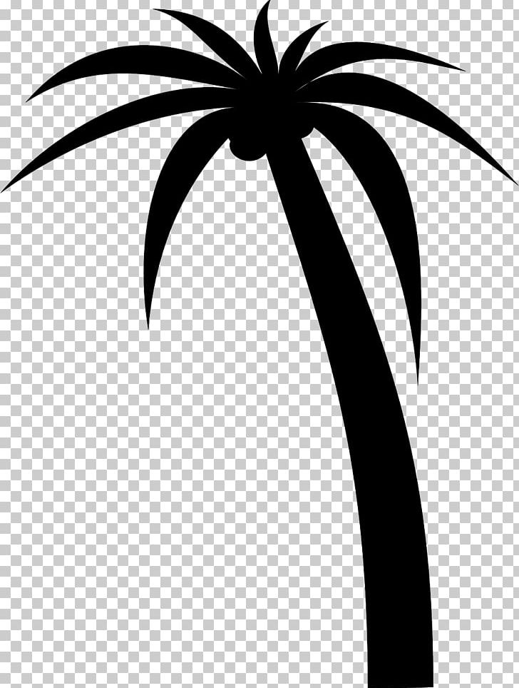 Arecaceae Drawing PNG, Clipart, Arecaceae, Arecales, Artwork, Black And White, Branch Free PNG Download