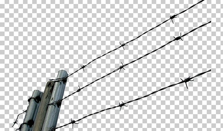 Barbed Wire Chain-link Fencing PNG, Clipart, Angle, Barbed Tape, Barbed Wire, Chainlink Fencing, Chicken Wire Free PNG Download