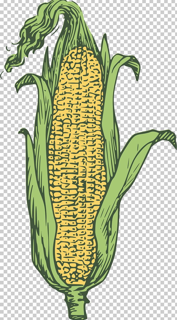 Corn On The Cob Ear Maize PNG, Clipart, Agriculture, Blog, Candy Corn, Commodity, Computer Icons Free PNG Download