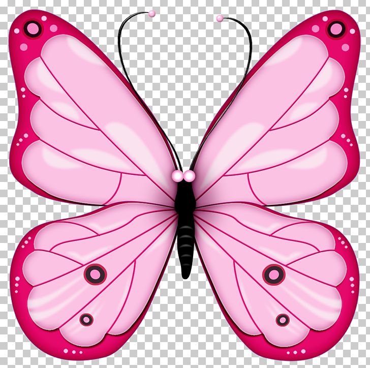 Drawing PNG, Clipart, Arthropod, Blog, Brush Footed Butterfly, Butterfly, Butterfly Clip Art Free PNG Download