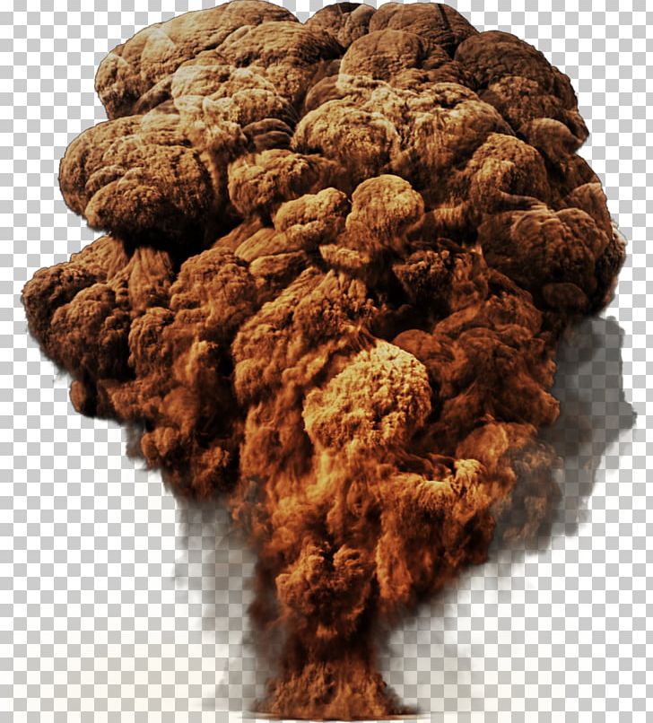 Explosion Nuclear Weapon Computer Icons PNG, Clipart, Biscuit, Computer Icons, Cookie, Cookies And Crackers, Desktop Wallpaper Free PNG Download