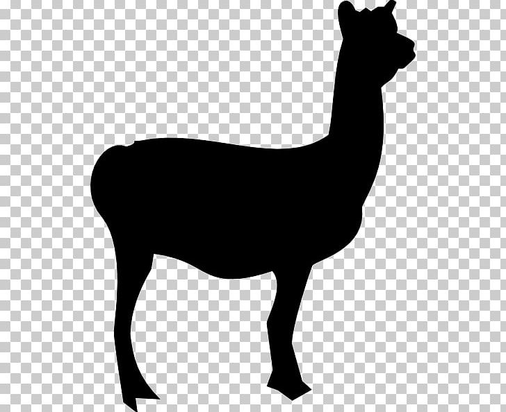Llama Silhouette PNG, Clipart, Alpaca, Animal, Black And White, Camel Like Mammal, Cartoon Free PNG Download
