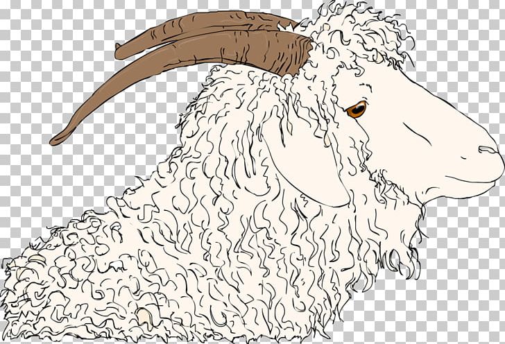Angora goat coloring page - Coloringcrew.com