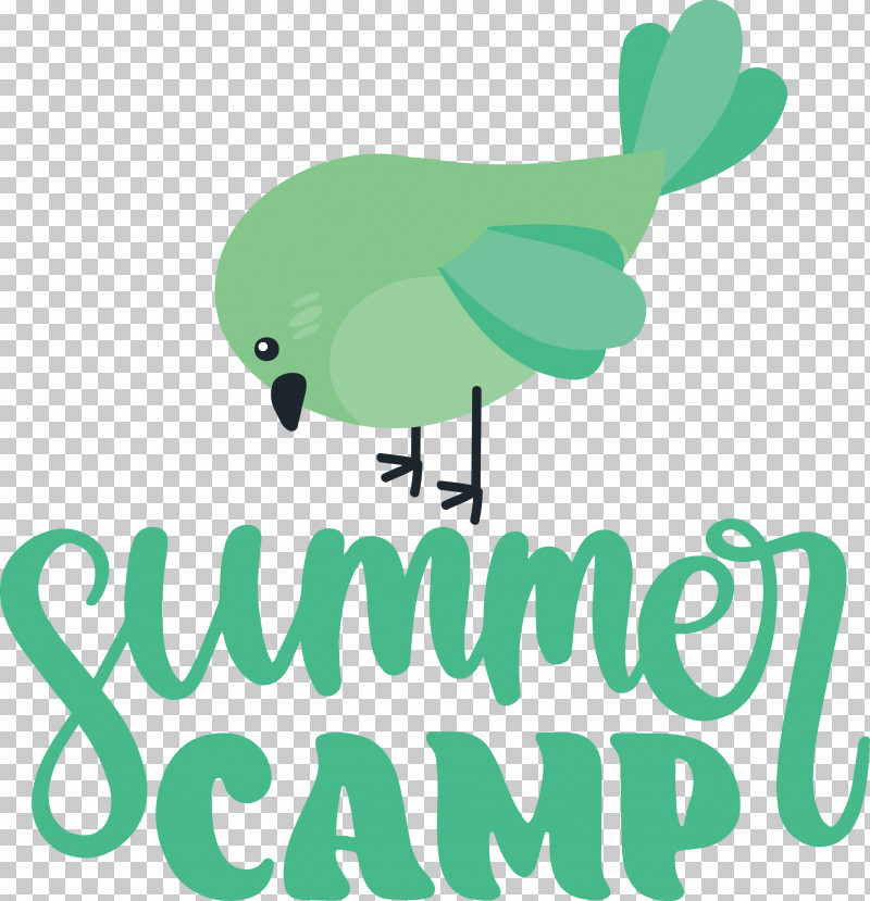 Summer Camp Summer Camp PNG, Clipart, Beak, Birds, Camp, Cartoon, Green Free PNG Download
