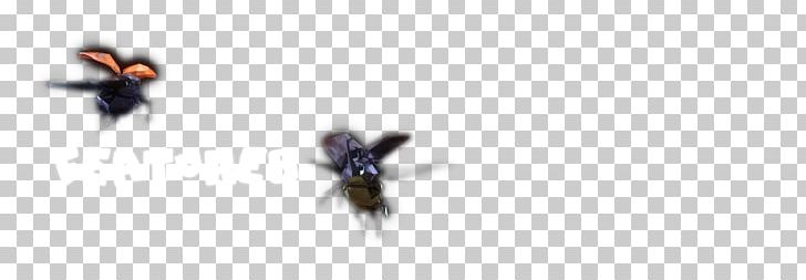 Insect Line PNG, Clipart, Animals, Insect, Invertebrate, Line, Membrane Winged Insect Free PNG Download