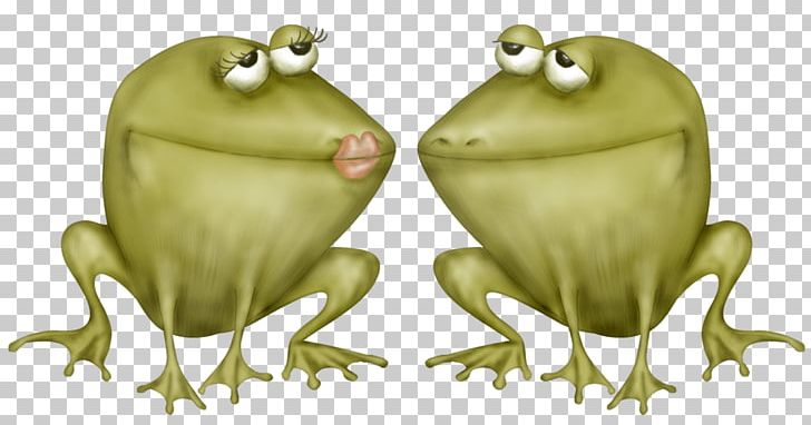 Toad True Frog Tree Frog PNG, Clipart, Amphibian, Animated Cartoon, Fauna, Frog, Fruit Free PNG Download