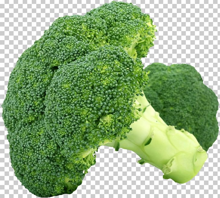 Broccoli Leaf Vegetable Cruciferous Vegetables PNG, Clipart, Avocado, Broccoli, Cauliflower, Celery, Cruciferous Vegetables Free PNG Download