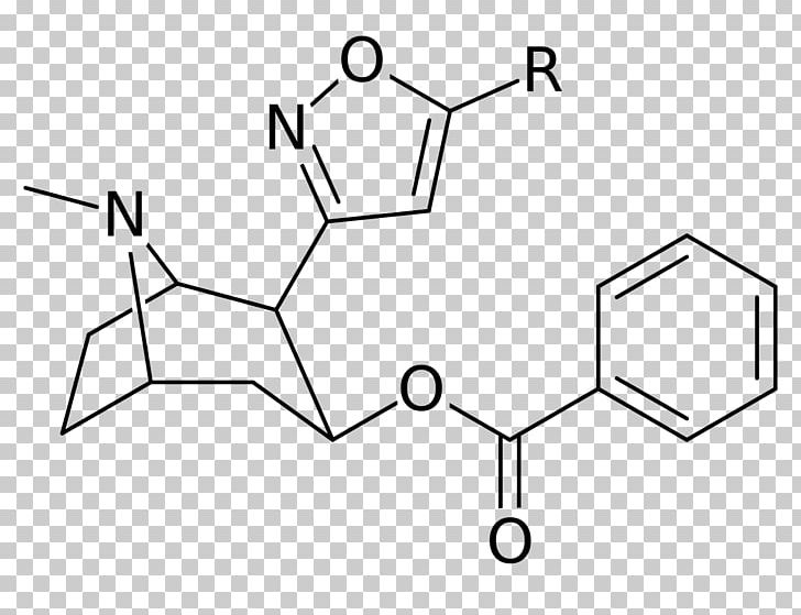 Catuabine Tropane Alkaloid Molecule Terephthalic Acid Chemical Compound PNG, Clipart, Analog, Angle, Area, Benzoic Acid, Bioisostere Free PNG Download