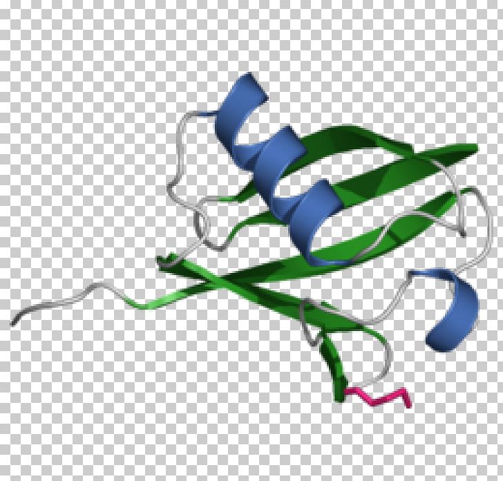Histone Ubiquitination Proteasome Protein PNG, Clipart, Autophagy, Cell, Cell Signaling, Chemistry, Degradation Free PNG Download