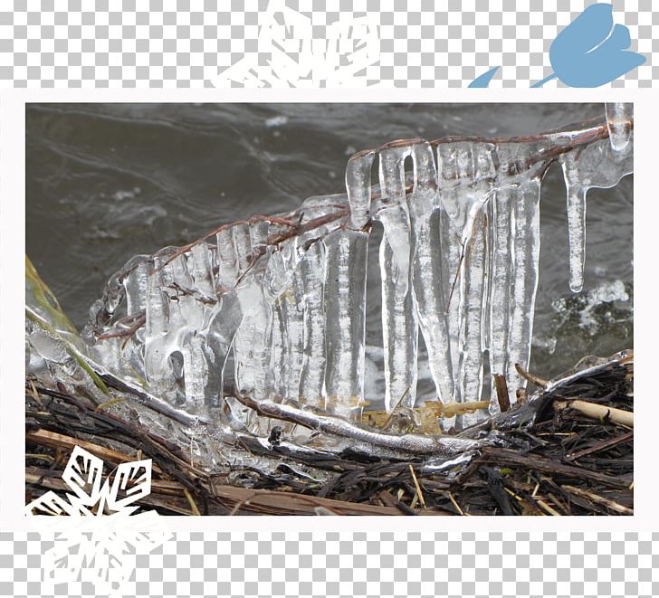 Icicle Wood /m/083vt PNG, Clipart, Glass, Ice, Icicle, M083vt, Nature Free PNG Download