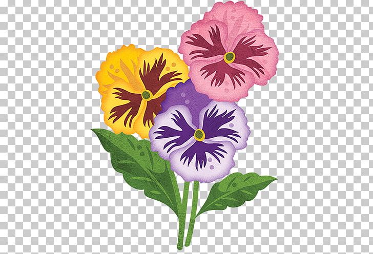 Pansy Annual Plant Flower Viola Cornuta PNG, Clipart, Annual Plant, Cut Flowers, Edible Flower, Flower, Flowering Plant Free PNG Download