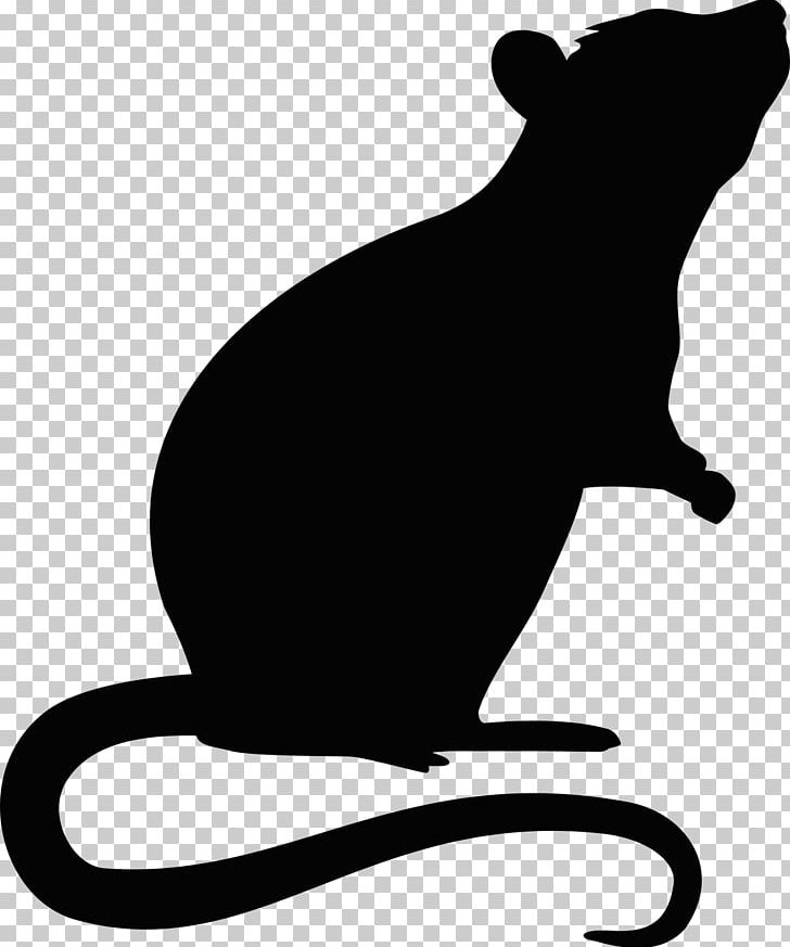 Rat Mouse Rodent PNG, Clipart, Animals, Artwork, Bear, Black, Black And White Free PNG Download
