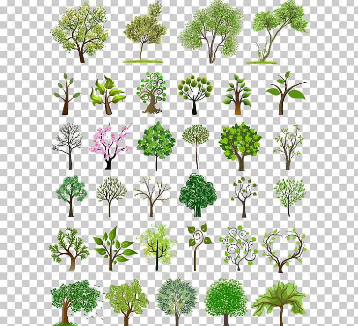 Tree Euclidean Illustration PNG, Clipart, Art, Branch, Cdr, Encapsulated Postscript, Euclidean Vector Free PNG Download