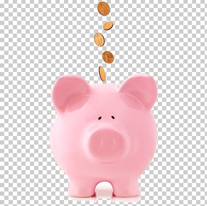 Coin Money Piggy Bank Fee Business PNG, Clipart, Accountant, Accounting, Bank, Business, Coin Free PNG Download