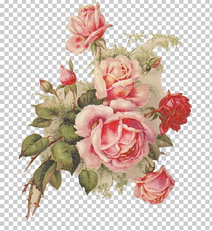 Garden Roses Cabbage Rose Cut Flowers Floral Design PNG, Clipart, Artificial Flower, Cut Flowers, Dawanda, Earring, Floral Design Free PNG Download