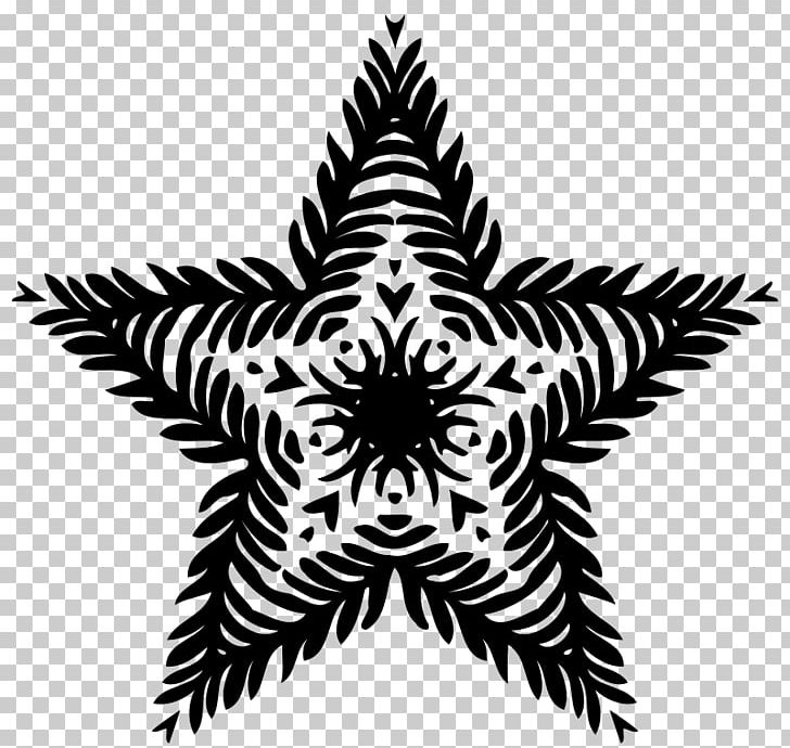 Lighting Barnstar Asda Stores Limited PNG, Clipart, Asda Stores Limited, Barnstar, Black And White, Business, Flowering Plant Free PNG Download