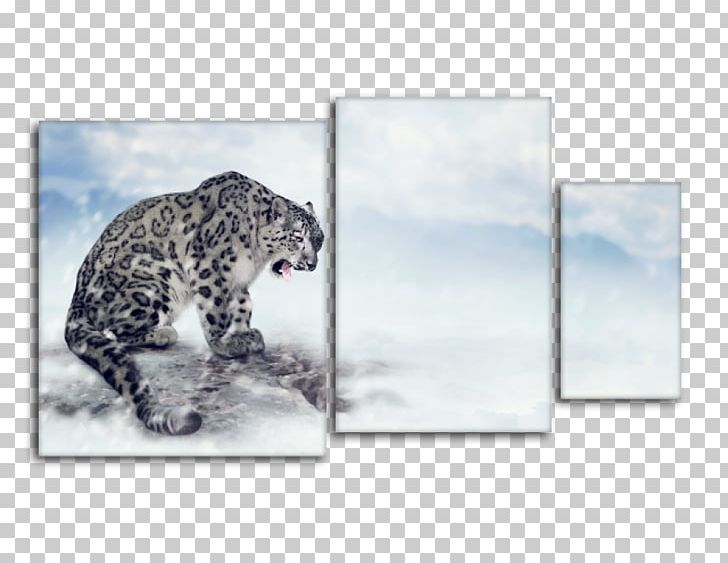 Snow Leopard Stock Photography PNG, Clipart, Alamy, Animals, Big Cat, Big Cats, Carnivoran Free PNG Download