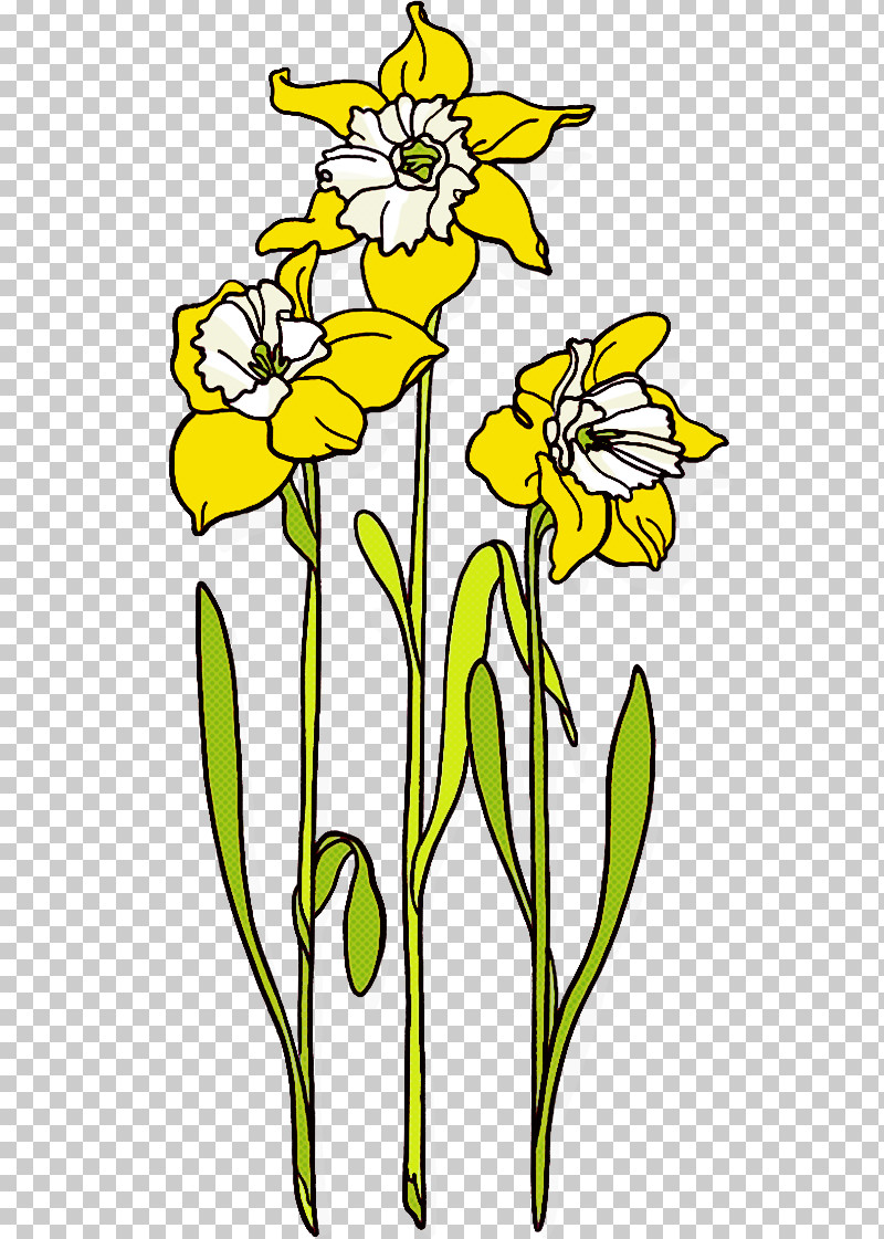 Flower Yellow Plant Narcissus Plant Stem PNG, Clipart, Cut Flowers, Flower, Narcissus, Pedicel, Plant Free PNG Download