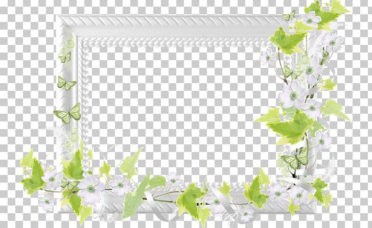 Photography PNG, Clipart, Blog, Border, Branch, Download, Email Free PNG Download