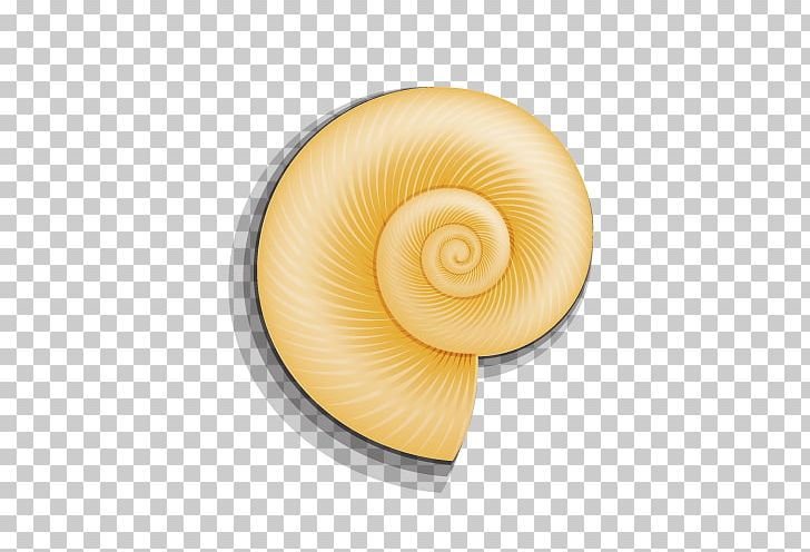 Seashell Snail PNG, Clipart, Animals, Circle, Download, Encapsulated Postscript, Euclidean Vector Free PNG Download
