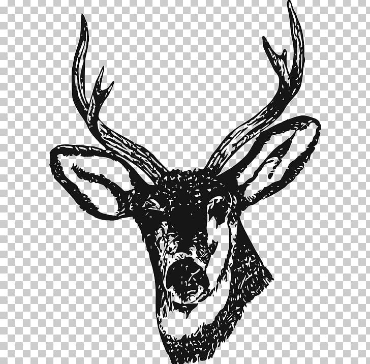 Drawing Deer Henna PNG, Clipart, Antler, Art, Black And White, Buck, Clip Art Free PNG Download