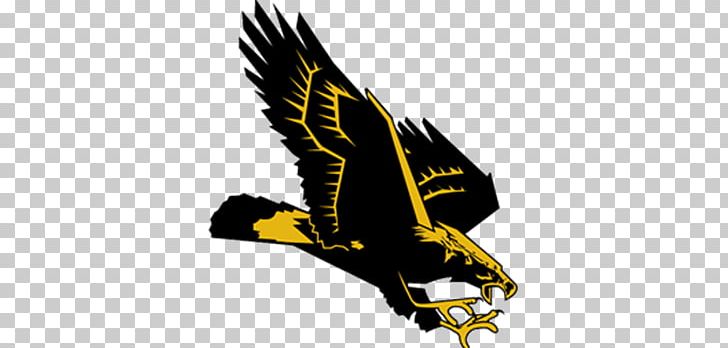 University Of Southern Mississippi Southern Miss Golden Eagles Football Southern Miss Lady Eagles Women's Basketball Southern Miss Golden Eagles Baseball East Carolina Pirates Football PNG, Clipart, Bald Eagle, Bird, Fauna, Fictional Character, Gold Free PNG Download