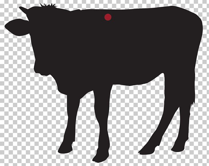Dairy Cattle Calf Ox Bull PNG, Clipart, Animals, Black, Black And White, Bull, Calf Free PNG Download