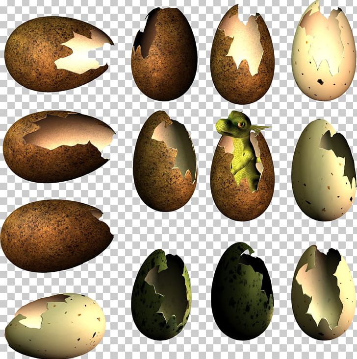 Egg Bird Nest Dinosaur PNG, Clipart, Bird, Bird Nest, Depositfiles, Dinosaur, Easter Free PNG Download