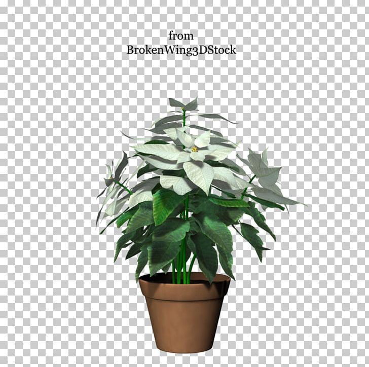 Flowerpot Houseplant Tree PNG, Clipart, Evergreen, Flower, Flowerpot, Food Drinks, Houseplant Free PNG Download