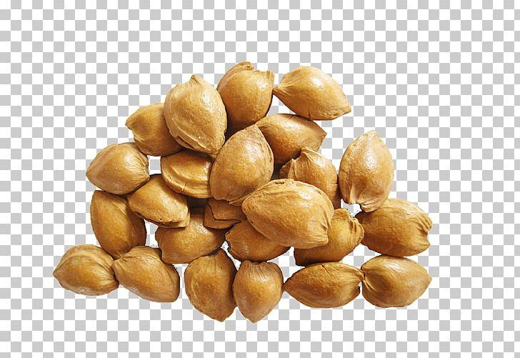 Hazelnut Apricot Kernel Oil Glycerol PNG, Clipart, Almond Milk, Almond Nut, Apricot Kernel, Chocolate Almond, Dry Free PNG Download