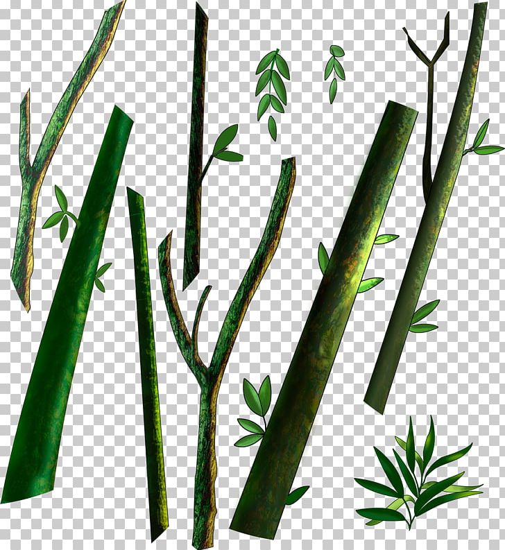 Plant Stem Leaf Branch PNG, Clipart, Birch, Branch, Clip Art, Directory, Drawing Free PNG Download