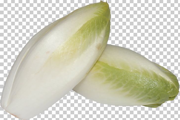 Portable Network Graphics Vegetable Chicory Endive PNG, Clipart, Blanching, Cabbage, Chicory, Commodity, Cucumber Gourd And Melon Family Free PNG Download
