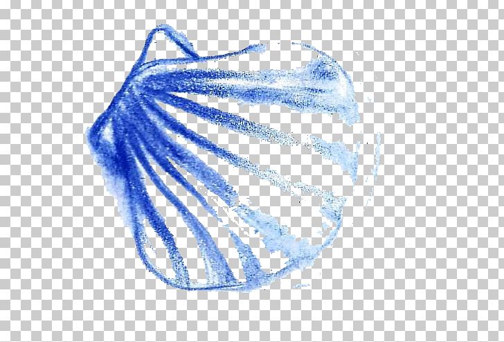 blue seashell clipart free