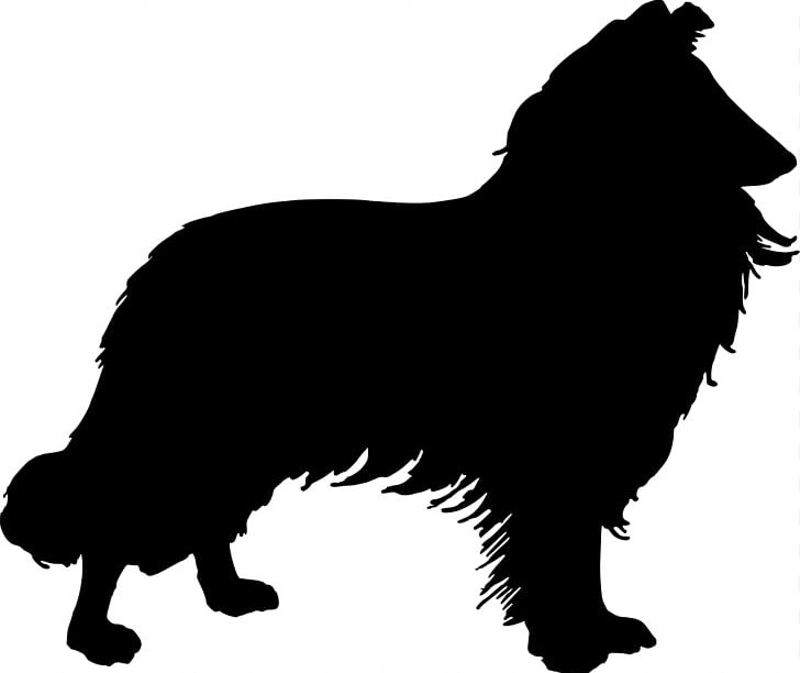 Shetland Sheepdog Border Collie Rough Collie Bearded Collie Australian Kelpie PNG, Clipart, Australian Shepherd, Bearded Collie, Black, Border Collie, Carnivoran Free PNG Download