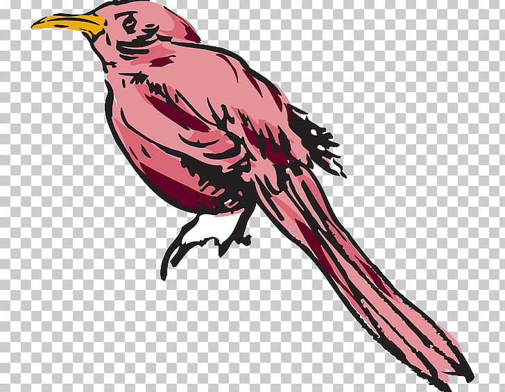 Bird Feather Wing PNG, Clipart, Animals, Art, Artwork, Beak, Bird Free PNG Download