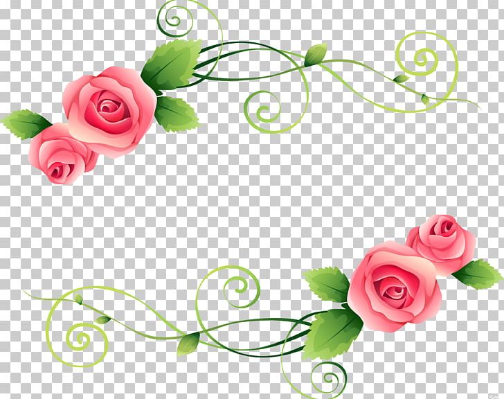 Garden Roses Flower Photography PNG, Clipart, Artificial Flower, Beautiful Roses, Body Jewelry, Centifolia Roses, Cut Flowers Free PNG Download