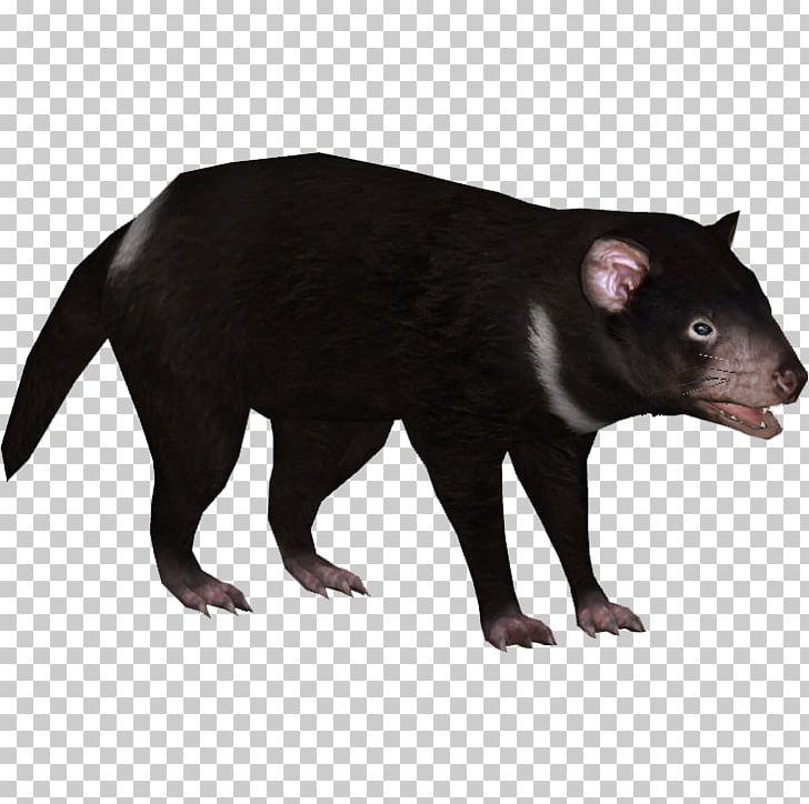 Tasmanian Devil Zoo Tycoon 2 Platypus Drawing PNG, Clipart, Animal, Common Opossum, Devil, Drawing, Fantasy Free PNG Download