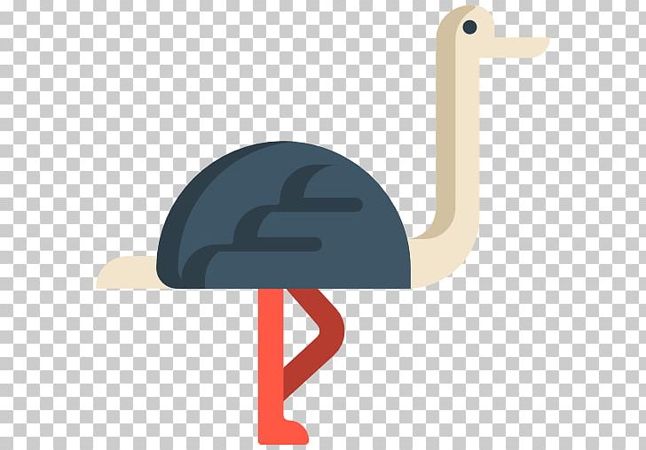 Common Ostrich Bird Animal Computer Icons PNG, Clipart, Animal, Animals, Beak, Bird, Common Ostrich Free PNG Download