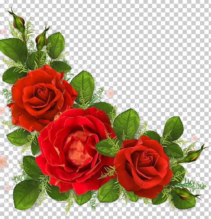 Garden Roses Portable Network Graphics Flower PNG, Clipart, Cut Flowers, Elfe, Floral Design, Floribunda, Floristry Free PNG Download