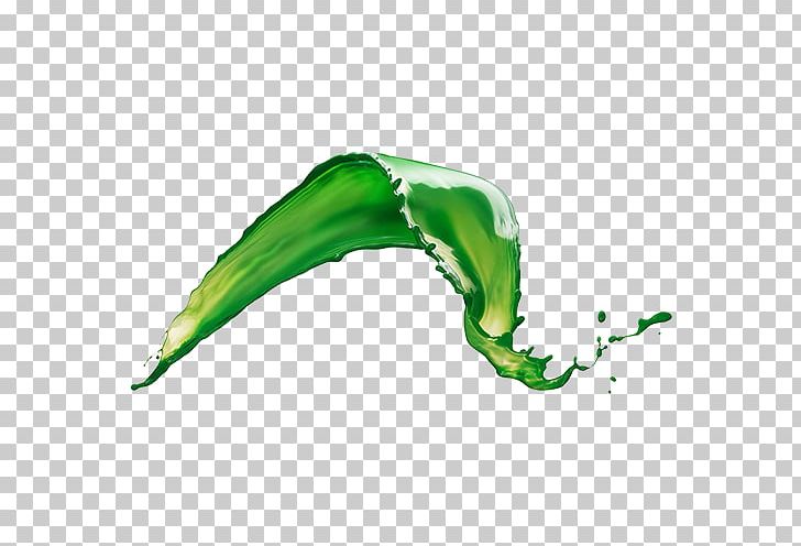 Green Liquid Chlorophyll Oil Leaf PNG, Clipart, Cargill, Chlorophyll, Color, Eating, Food Free PNG Download